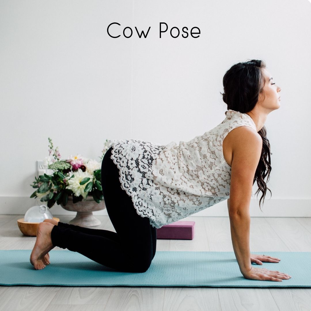 Cow pose